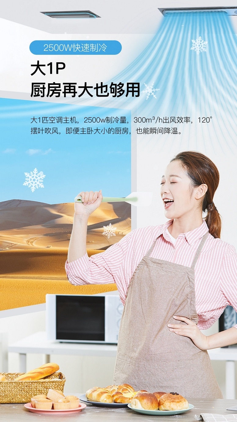 冷(lěng)鋒廚房(fáng)空(kōng)調 (7)